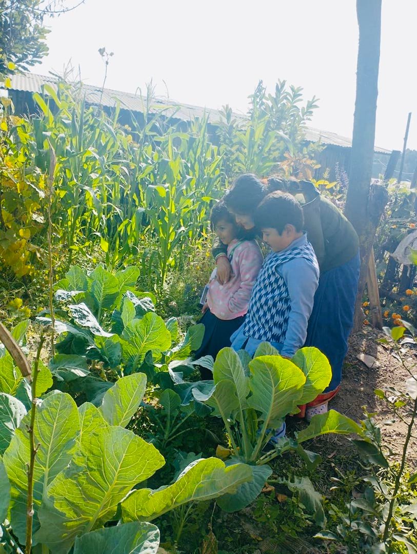 Field visit of junior students, theme - where do vegetables come from?